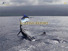 Tablet Screenshot of billfishreport.com